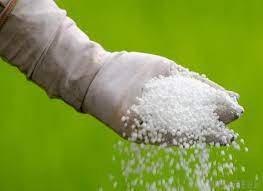 Urea as a fertiliser: How to make it more efficient