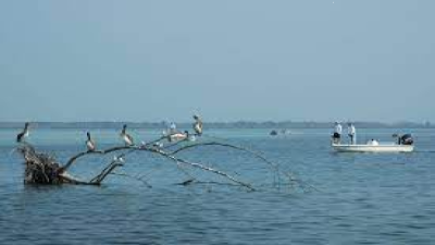 Use of Tides in Fishing