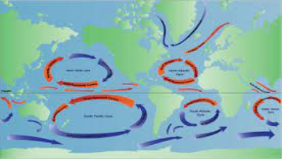 Warm and Cold Currents