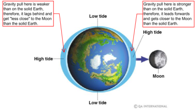 Why are there NO High and Low Tides at Equator?