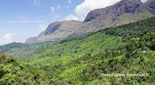 Anamudi Shola National Park