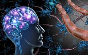 Stem Cell Therapy