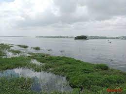 Bhoj Wetland