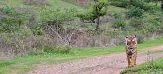 Bhoramdeo Wildlife Sanctuary (BWS)