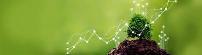 Business Responsibility and Sustainability Reporting (BRSR)