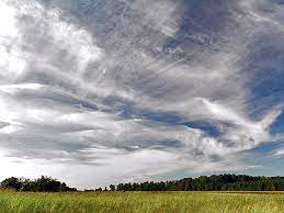 Cirrus Clouds