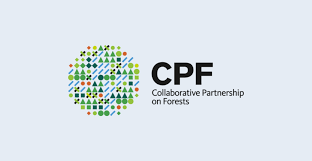 Collaborative Partnership on Forests (CPF)
