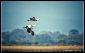 D. Ering Memorial Wildlife Sanctuary