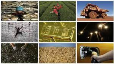 India’s Situation in the Economic Activities