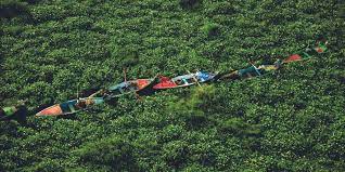 Assessment Report on Invasive Alien Species and their Control: IPBES