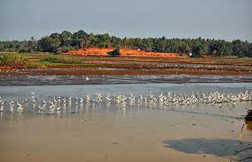 Kole Wetland