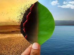 Commitments of New Delhi Declaration w.r.t Climate Change