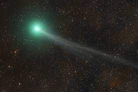 Comet P1 Nishimura