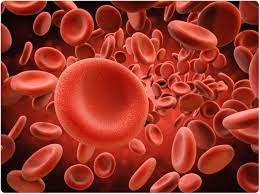 Red Blood Cells (RBCs)
