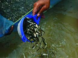 Second Edition of ICAR-CIBA’s Shrimp Farmers Conclave-2023