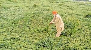 Unified Portal for Agriculture Statistics