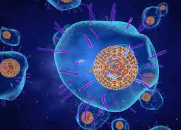 Varicella-Zoster Virus (VZV)