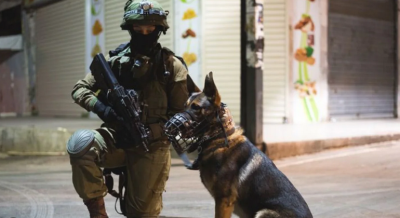 Israel’s Canine Unit Rescues 200 People in Kibbutz