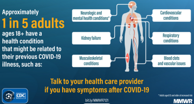 Low Serotonin Levels and ‘Brain Fog’ in Long Covid Patients