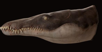 Ancient ‘Sea Murderer’ Lorrainosaurus, a Megapredator from the Jurassic Era