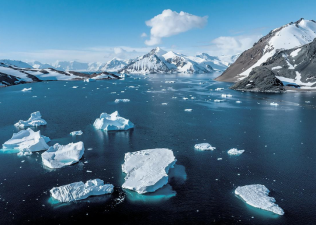 The Unavoidable Melting of West Antarctic Ice Shelves Despite Carbon Emissions Cuts