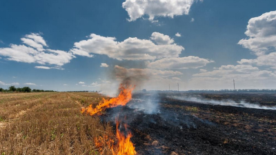 Stubble Burning Starts Early in Punjab and Haryana