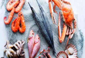 Climate Change Threatens Nutrient Loss in Low-Income Countries’ Seafood