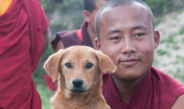 Bhutan Achieves Landmark by Sterilizing and Vaccinating Entire Stray Dog Population