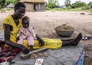 Acute Food Insecurity in African Countries: A Deepening Concern