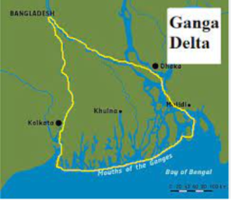 The Delta Belt