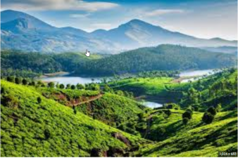 The Mountains of Western Ghats