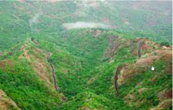 The Vegetation of Eastern Ghats