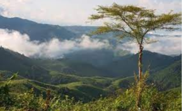 Naga Hills