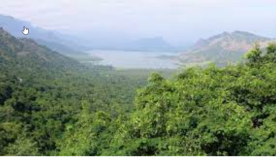 Palni Hills