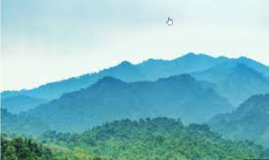 Patkai Hills