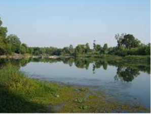 Kaveri River