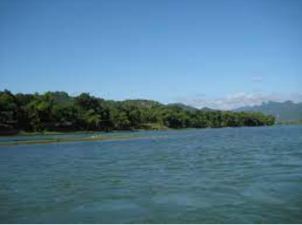 Son River