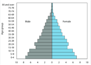 Age Sex Pyramid