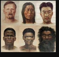 Caucasoid
