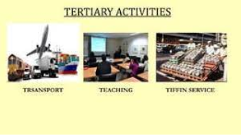 Tertiary Activities under Economic Geography