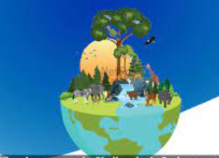 Biodiversity and Its Importance