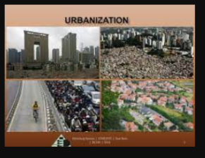 Urbanization and Its Environmental Impact