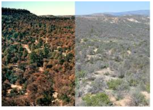Climate Change and Ecosystems