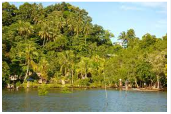 Island Ecosystems: Vulnerability and Adaptation