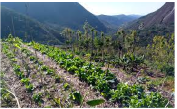 Agroecosystems: Agriculture and Environment Interaction