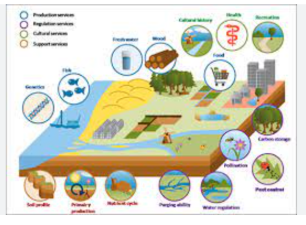 Ecosystem Valuation Methods