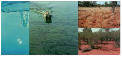 Disturbance and Resilience in Ecosystems