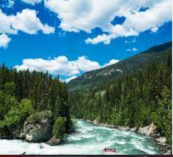 River and Stream Ecosystems
