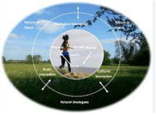 Ecosystems and Public Health