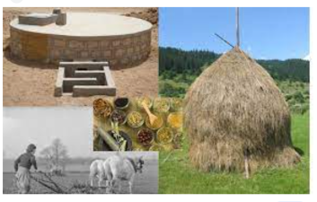 Traditional Ecological Knowledge in Ecosystem Management